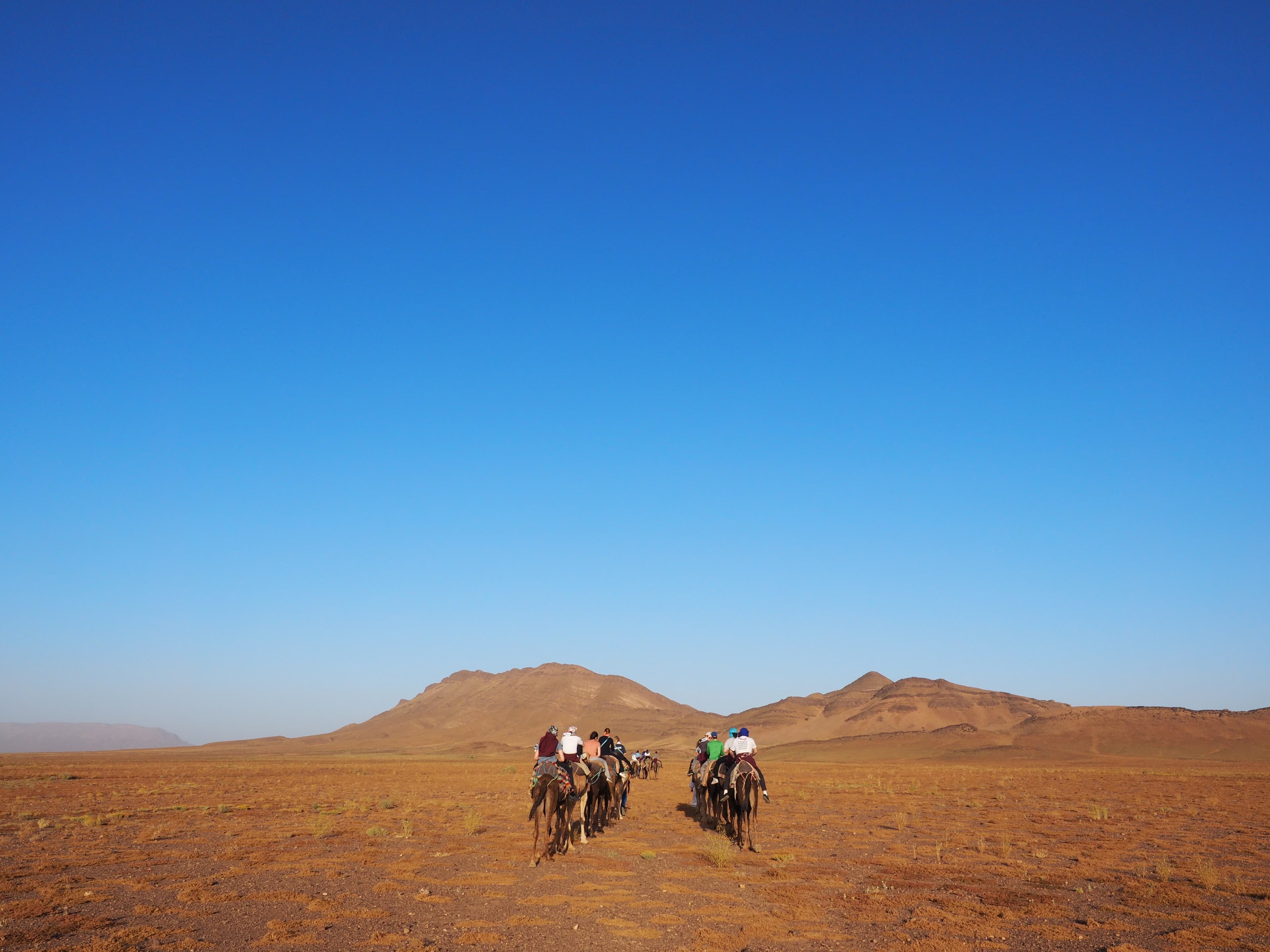 Zagora Desert Tour (2 Days) photo
