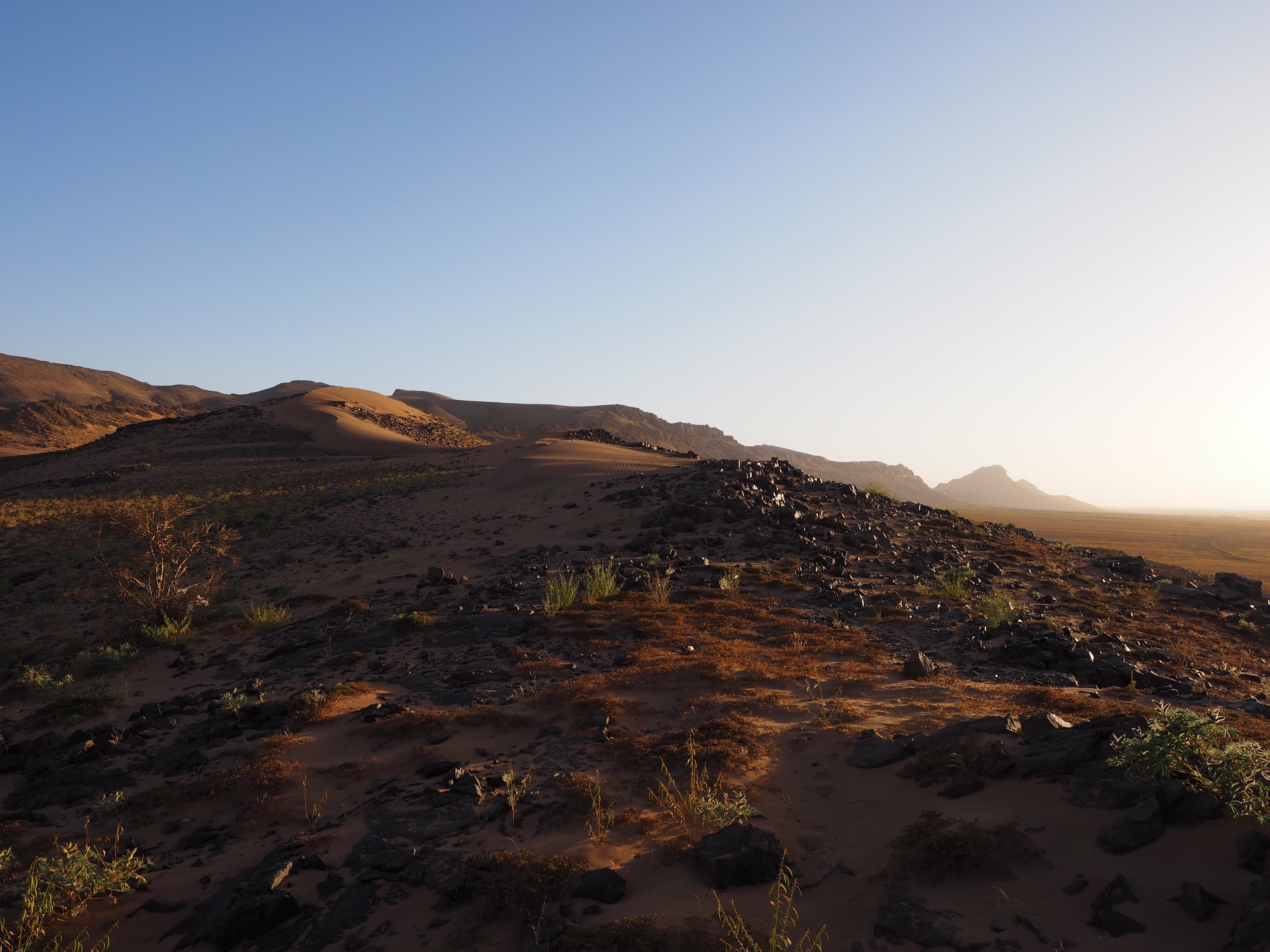 Zagora Desert Tour (2 Days) photo